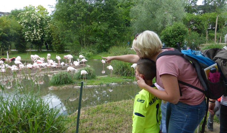 Narresume-Ausflug Basler Zoo